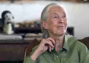 Dr. Jane Goodall in Gombe National Park