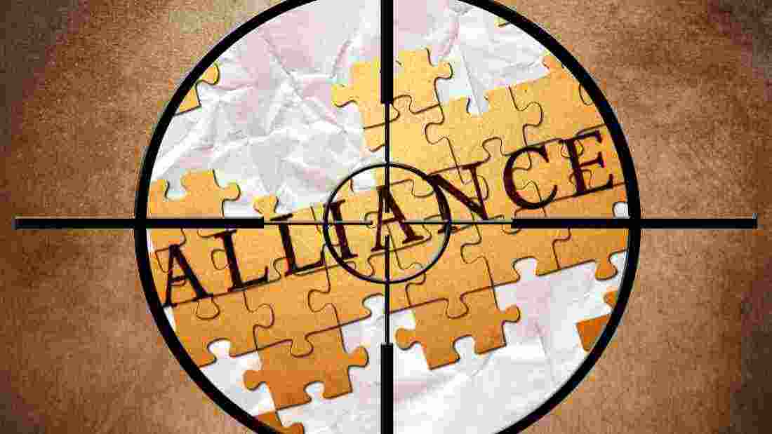 alliance theory