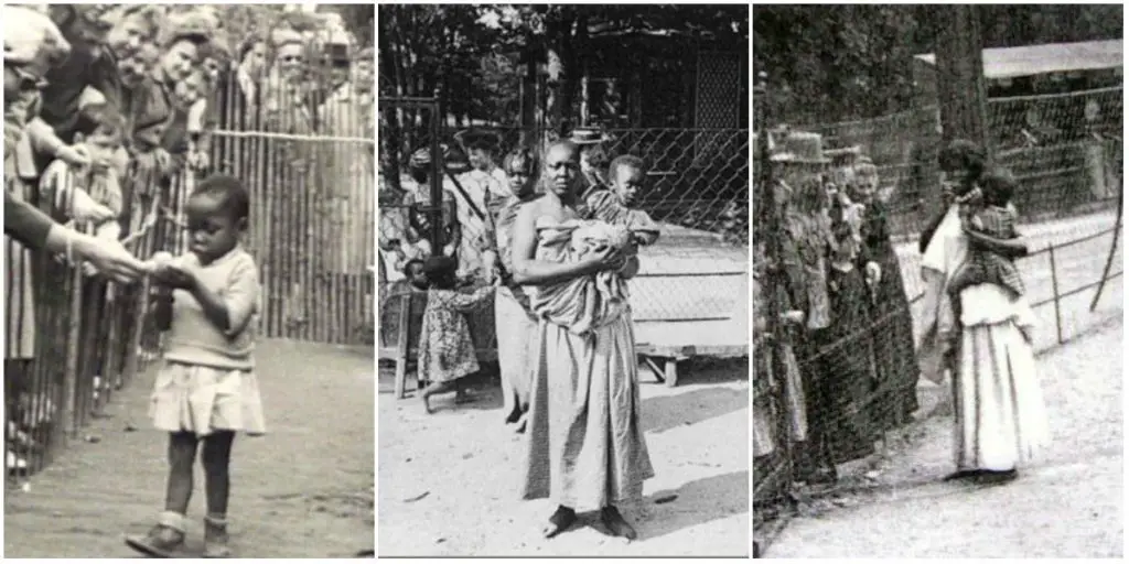 Human zoos - The Origins and Evolution of Fascism and its Twisted Anthropology