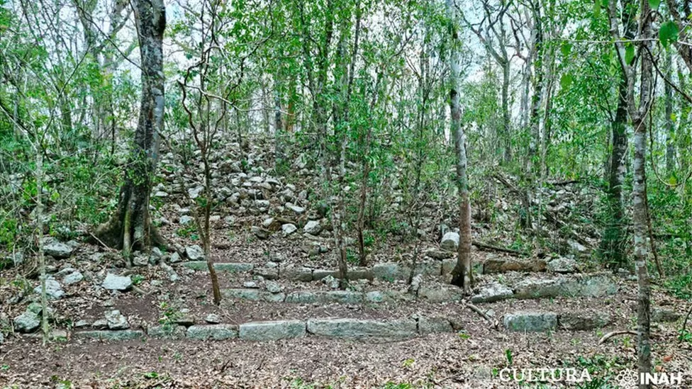 Unearthing Maya Civilization: Discovery of Ancient City in Dense Jungle