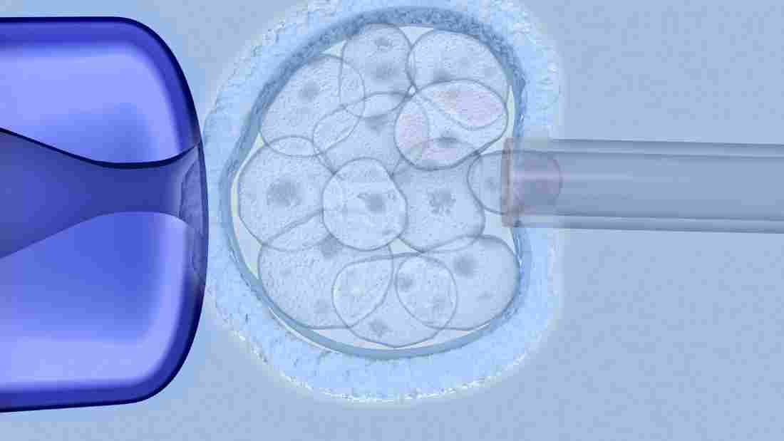 The Impact of Assisted Reproductive Technologies on Kinship and Marriage