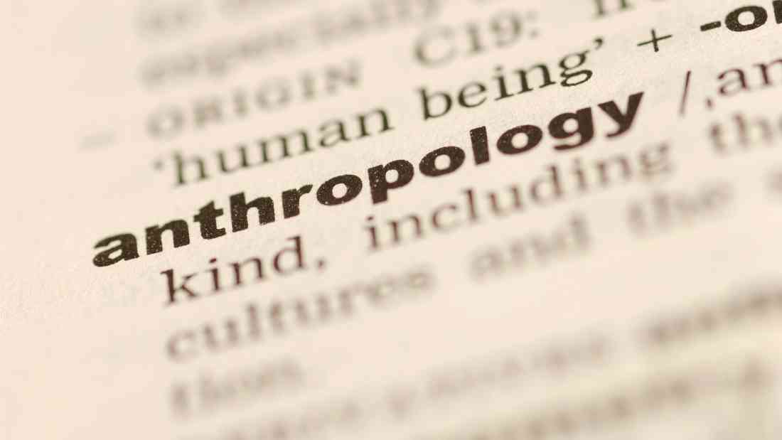 branches of anthropology