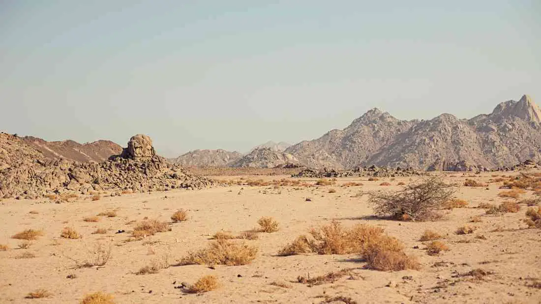 egyptian desert 